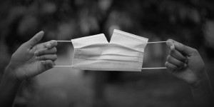 Beitragsbild des Blogbeitrags Spaltpilz COVID19 | Brückenbauer verzweifelt gesucht