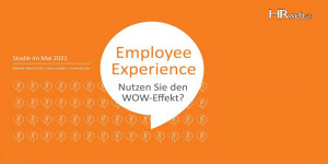 Beitragsbild des Blogbeitrags Studie Employee Experience: Nutzen Sie den WOW-Effekt?