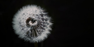 Beitragsbild des Blogbeitrags Business-Coaching: Vom Reparatur- zum Tuning-Instrument