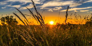 Beitragsbild des Blogbeitrags HRweb-Artikel aug2023