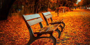 Beitragsbild des Blogbeitrags HRweb-Artikel sep2022