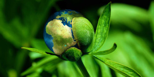 Beitragsbild des Blogbeitrags Durch Nachhaltigkeit neue Mitarbeitende überzeugen | Umweltschonende Praktiken als Erfolgsfaktor 