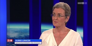 Beitragsbild des Blogbeitrags Demokratie gibt’s nicht nur bei den Grünen