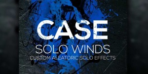 Beitragsbild des Blogbeitrags 8Dio Introduced CASE Solo Woodwind FX & Bundle Edition 