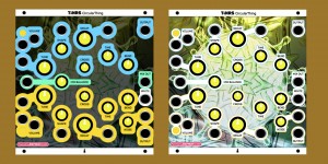 Beitragsbild des Blogbeitrags TINRS CircularThing, Double Drum Voice With Plenty Of Scope For Crazy Things