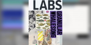 Beitragsbild des Blogbeitrags Spitfire Audio’s New Free LABS Release Features Granular Whalesong Textures