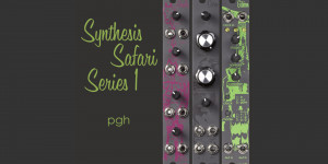 Beitragsbild des Blogbeitrags Pittsburgh Modular Invites You To A Synthesis Safari With A Giraffe, Crow & Gibbon