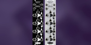 Beitragsbild des Blogbeitrags Noise Engineering Quantus Ampla, quad VCA for creative audio & CV signal processing