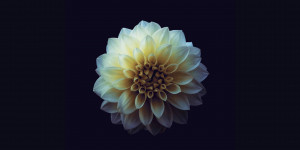 Beitragsbild des Blogbeitrags MATTHS dives into dark cinematic, electronic sounds for his new track Release