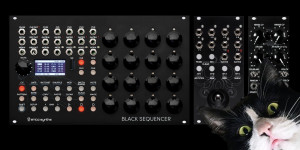 Beitragsbild des Blogbeitrags Erica Synths Black Friday Sale, save up to 23% OFF on Black modules, case & more