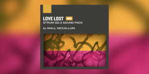Beitragsbild des Blogbeitrags AAS Love Lost, new Shoegaze inspired sounds for Strum GS-2 & Summer Sale 