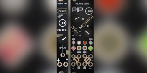Beitragsbild des Blogbeitrags Neutral Labs new modules: Nijel customizable distortion and PIP dual morphing CV generator 