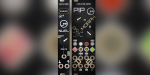 Beitragsbild des Blogbeitrags Neutral Labs new modules: Nijel customizable distortion and PIP dual morphing CV generator
