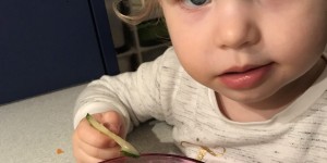 Beitragsbild des Blogbeitrags Schmeckt ned – gibt’s ned