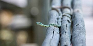 Beitragsbild des Blogbeitrags Konflikte liefern das rettende Gift für dein Wohlbefinden