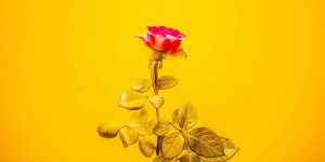 Beitragsbild des Blogbeitrags Entscheidungen treffen. Wohlstand oder Wohlbefinden?