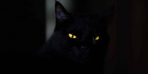 Beitragsbild des Blogbeitrags Panikattacken. Plötzlich sind sie da