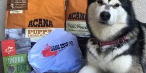 Beitragsbild des Blogbeitrags Hundefutter Acana