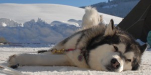 Beitragsbild des Blogbeitrags 2018