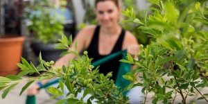 Beitragsbild des Blogbeitrags Trilogie der Prä-Rehabilitation der Schulter – Teil 2