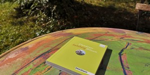 Beitragsbild des Blogbeitrags Unnützes Salzburg Wissen – Holzbaum Verlag