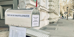Beitragsbild des Blogbeitrags Die Baustellenkatze sucht am Toihaus Salzburg nach der Kreativität der Jüngsten 