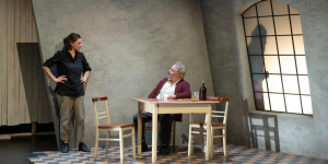 Beitragsbild des Blogbeitrags Die Wildente – Schauspielhaus Salzburg 