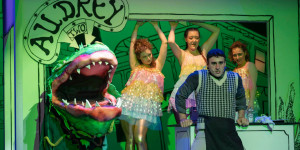 Beitragsbild des Blogbeitrags Der kleine Horrorladen – Schauspielhaus Salzburg 