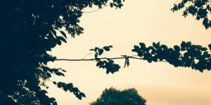 Beitragsbild des Blogbeitrags Die Würfel sind gefallen oder: Ein Stück oberösterreichische Geschichte