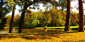 Beitragsbild des Blogbeitrags Goldener Herbst im Schlosspark Laxenburg