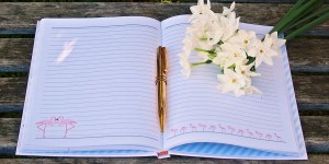 Beitragsbild des Blogbeitrags What´s on: Wo du im August in der Vorstadt sein musst!