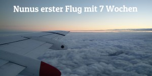 Beitragsbild des Blogbeitrags Nunus erster Flug mit 7 Wochen - Zypern 