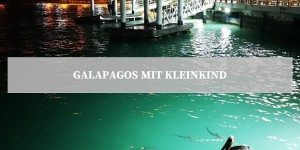 Beitragsbild des Blogbeitrags Galapagos Inseln mit Kleinkind