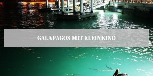 Beitragsbild des Blogbeitrags Galapagos Inseln mit Kleinkind 
