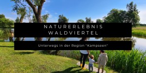 Beitragsbild des Blogbeitrags Naturerlebnis Waldviertel mit Baby und Kind - Unterwegs in der Region