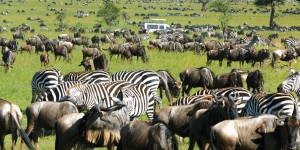 Beitragsbild des Blogbeitrags Die Seele Afrikas mit Privatjet ALBERT BALLIN erleben