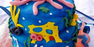 Beitragsbild des Blogbeitrags Über Dankbarkeit, Schuldgefühle und ein neues Lebensjahr