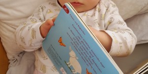 Beitragsbild des Blogbeitrags Top of the Week KW 13