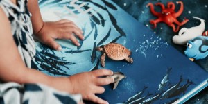 Beitragsbild des Blogbeitrags Die Welt der Ozeane im Donau Zentrum entdecken