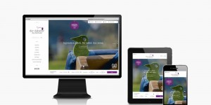 Beitragsbild des Blogbeitrags Google rollt Mobile First Indexierung aus – Responsive Webdesign: Eine Website für Smartphone, Tablet & PC