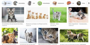 Beitragsbild des Blogbeitrags 7 Tipps zur Optimierung für die Google Bildersuche