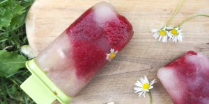 Beitragsbild des Blogbeitrags Himbeer-Gänseblümchen-Eis
