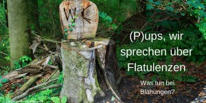 Beitragsbild des Blogbeitrags (P)ups, wir sprechen über Flatulenzen
