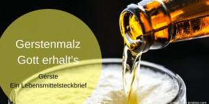 Beitragsbild des Blogbeitrags Gerstenmalz, Gott erhalt’s – Gerste, ein Lebensmittelsteckbrief 