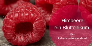 Beitragsbild des Blogbeitrags Himbeere, ein Bluttonikum 