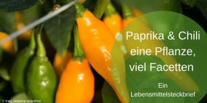 Beitragsbild des Blogbeitrags Paprika und Chili – eine Pflanze, viele Facetten