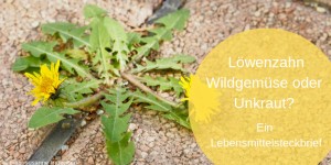 Beitragsbild des Blogbeitrags Löwenzahn – Wildgemüse oder Unkraut?
