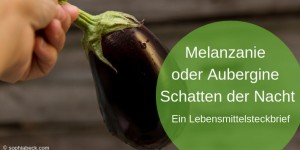 Beitragsbild des Blogbeitrags Melanzani oder Aubergine und was es mit dem Schatten der Nacht auf sich hat