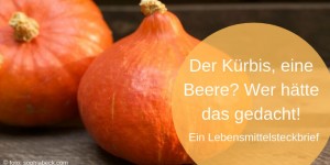 Beitragsbild des Blogbeitrags Der Kürbis, eine Beere? Wer hätte das gedacht! 