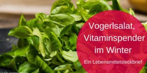 Beitragsbild des Blogbeitrags Vogerlsalat, ein Vitaminspender im Winter 